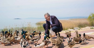 Başkan Özkan Eskikarağaç'ta ördekleri elleriyle besledi, doğa mesajı verdi