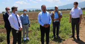 Bursa İl Tarım ve Orman Müdürlüğümüzden, Hektaş’ın Orhangazi Projesine Ziyaret