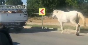 Bursa'da büyük vicdansızlık