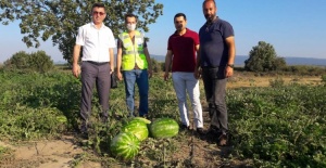 Mustafakemalpaşalı çiftçinin yüzü yeni gelir kaynaklarıyla gülecek