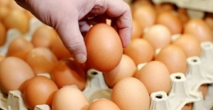 Bayraktar: Yumurtada yeni pazarlar bulunmalı