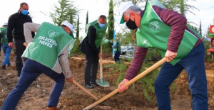 İznik'te hedef 2023 yılı sonuna kadar 7 milyar fidan dikmek