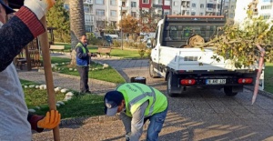 Mudanya Tekel Parkı'nda kuruyan ağaçlar yenilendi