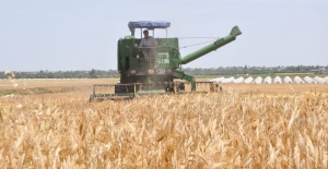 Gürer: İthal buğdayı işleyip ihraç ederek tarımda sorunlar aşılamaz