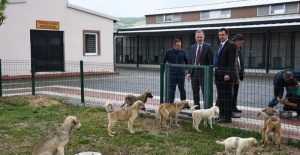 İnegöl Belediyesi 7 bin 700 can dostuna şifa oldu