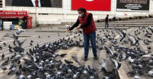 Bursa sokaklarında aç kalan hayvanlar unutulmadı