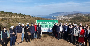 Limak Enerji Balıkesir'i ağaçlandıracak