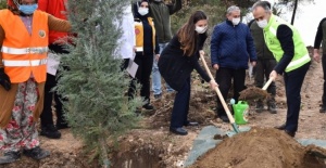 Bursa'da Sağlık Kahramanları Hatıra Ormanı oluşturuldu