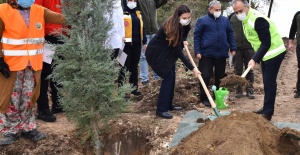 Bursa'dan Sağlık Kahramanları Ormanı