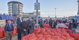 Karacabey’in kırmızı soğanı, insan vücudunu zırh gibi koruyor