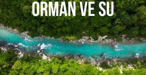 Hayat çizgimiz: Orman ve Su