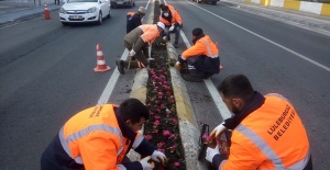 Lüleburgaz “mis” gibi dokunuş