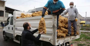 Nilüfer Belediyesi’nden patates üreticisine destek