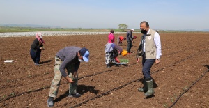"Mevsimlik Tarım İşçileri Bursa’ya Giriş Yaptı"