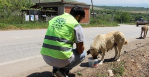 CAN DOSTLARA MAMA VE SU DESTEĞİ SÜRÜYOR