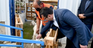 Başkan Kanar'dan küçükbaş yetiştiricisine tam destek