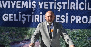 MAHMUDİYE MAHALLESİNDE MAVİ YEMİŞ FİDANI DAĞITILDI