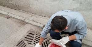 Haşerelere Karşı Mücadele