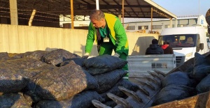 Osmangazi’de Midye Operasyonu