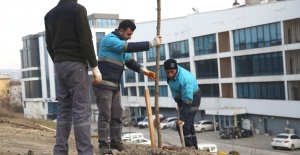 NİLÜFER'DE AĞAÇLANDIRMA ÇALIŞMALARI BAŞLADI