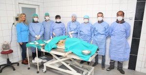 NİLÜFER'DE SAHİPSİZ CAN DOSTLAR KISIRLAŞTIRILIYOR