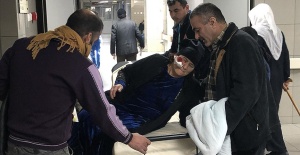 Bursa'da sahipsiz köpeklerin saldırısına uğrayan yaşlı kadın yaralandı