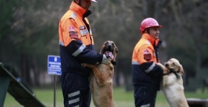 TSK'nın arama köpekleri 78 kişiyi kurtardı! 'sessiz kahramanlar' madalya ile ödüllendirildi