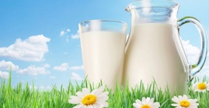 BUSİAD Gıda ve Tarım Uzmanlık Grubu:  "Dünyanın beslenmesinde sütün yeri çok önemli"