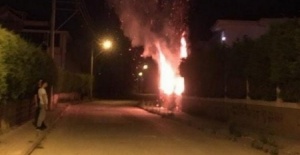 Bursa'da ağaçların ateşe verildiği iddiası üzerine inceleme başlatıldı
