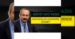 USTA GAZETECİ SERVET AVCI'DAN ÖNEMLİ BİR YAZI " HAYVANLAR ALEMİNDE SİYASET"