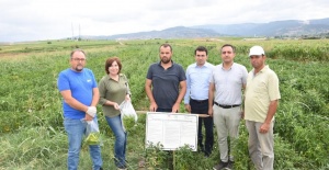 BÖYLE OLUR ÜRETKEN BELEDİYECİLİK! -İYİ TARIMDA ADRES: YENİŞEHİR