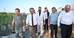 Bursa'da desteklerle tarım, Bursa'nın yükselen değeri haline gelmeye başladı
