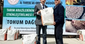 Bursa'da İrfaniyeli üreticilere ayçiçeği tohumu desteği