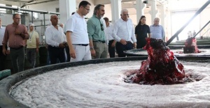 Kooperatifçilik Genel Müdürü Marmarabirlik’i ziyaret etti