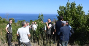 Bursa Orman, Mudanya kırsalında defne sahalarını iyileştirecek