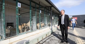 İnegöl’de Sokak Hayvanları İçin Yeni Adımlar Atılıyor