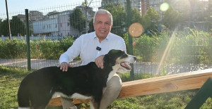 Bursa Nilüfer’de can dostlar yeni yuvalarına kavuştu