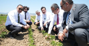 Bursa Yenişehir tarımı Afrika’ya açılıyor