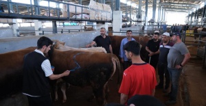 İnegöl Modern Hayvan Pazarı Beşinci Kez Bayram Sevinci Yaşattı