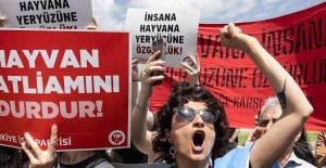 TİP BURSA İL ÖRGÜTÜ VE HAYVAN HAKLARI SAVUNUCULARINDAN SERT AÇIKLAMA: “OSMANGAZİ BARINAĞI’NDAKİ İHMALLER SİSTEMATİK VE BİLİNÇLİ!”