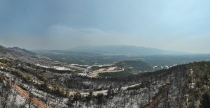 CİĞERLERİMİZ YANDI