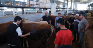 Hayvan Pazarları İkinci Bir Emre Kadar Kapatıldı