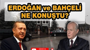 Erdoğan ve Bahçeli Ne Konuştu?